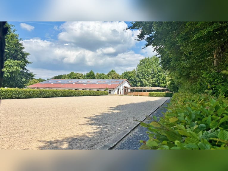 Propriété équestre exclusive avec grande maison d'habitation et nombreuses possibilités d'utilisatio