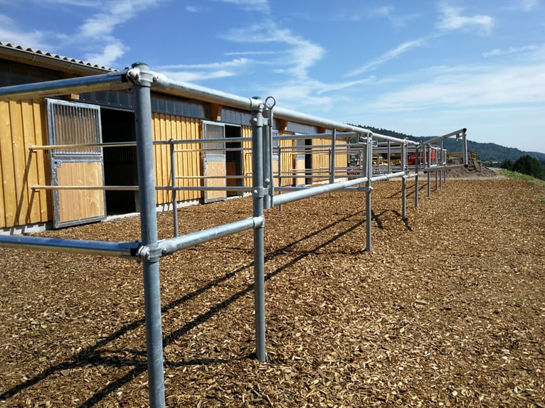 Propriété équestre exclusive avec panorama alpin – paradis pour chevaux avec perspectives V13084