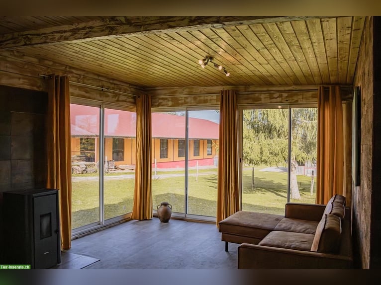 Propriété équestre exclusive dans les Vosges