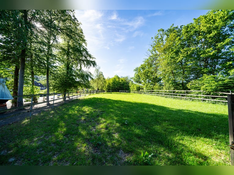 Propriété équestre privée avec bâtiment résidentiel historique, située dans un cadre idyllique