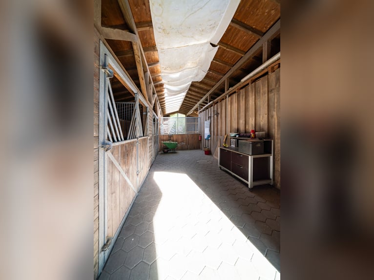 Propriété équestre privée avec bâtiment résidentiel historique, située dans un cadre idyllique