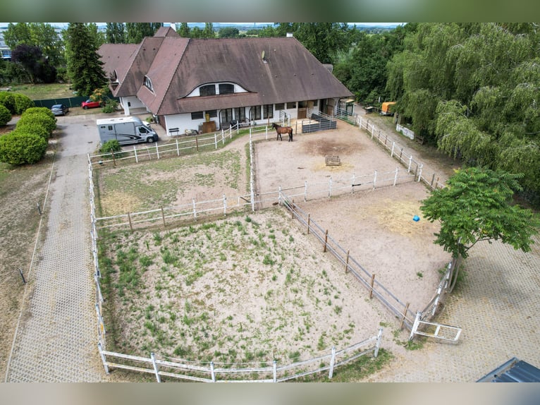 Propriété équestre spacieuse avec une maison d'habitation exceptionnelle, comprenant cinq unités rés