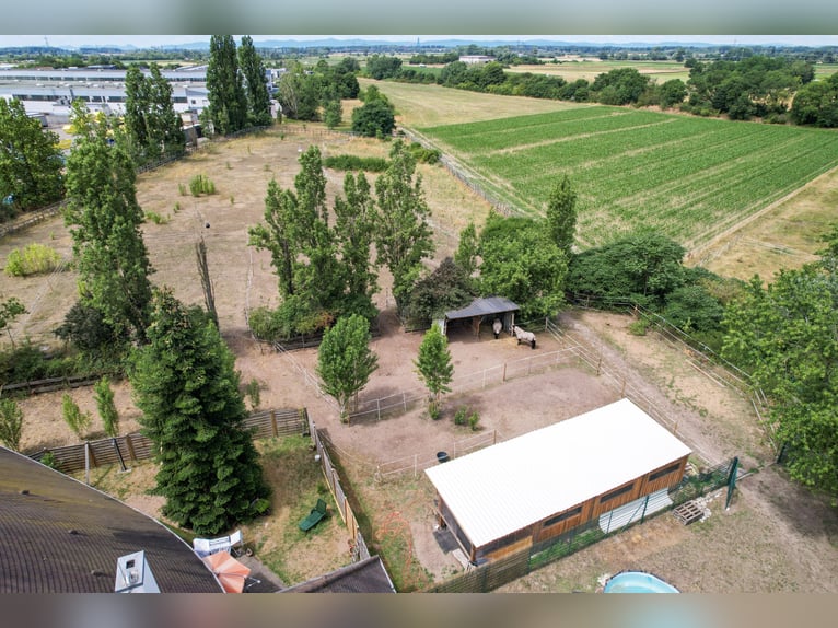 Propriété équestre spacieuse avec une maison d'habitation exceptionnelle, comprenant cinq unités rés