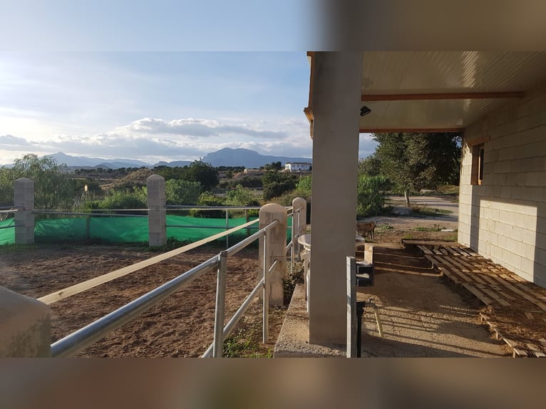 Propriété équestre spectaculaire avec chalet à proximité de la plage.