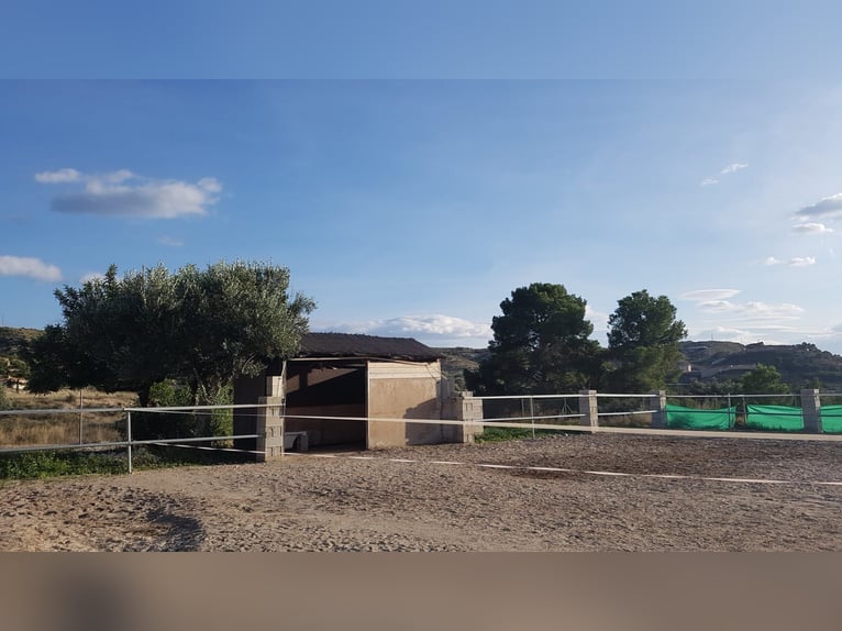 Propriété équestre spectaculaire avec chalet à proximité de la plage.