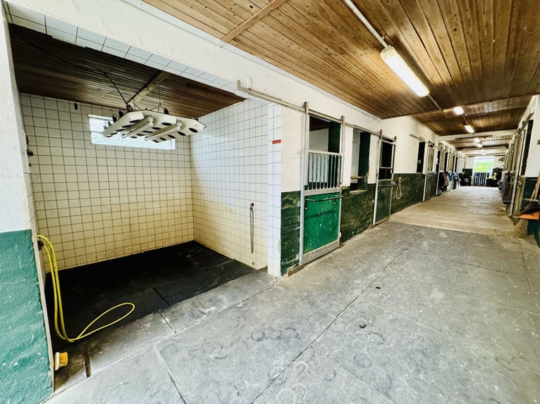Propriété exclusive avec installation équestre haut de gamme dans un cadre idyllique