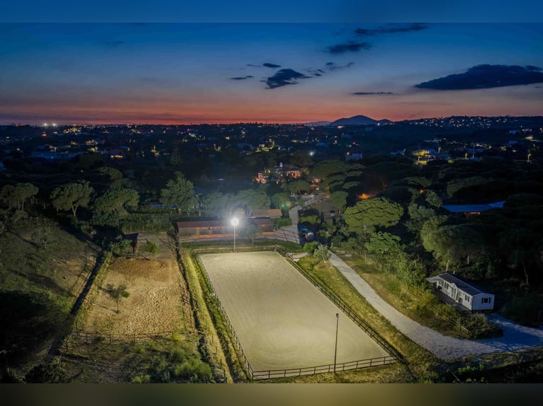 Propriété privée exclusive dans le « Triangle d'Or », Portugal