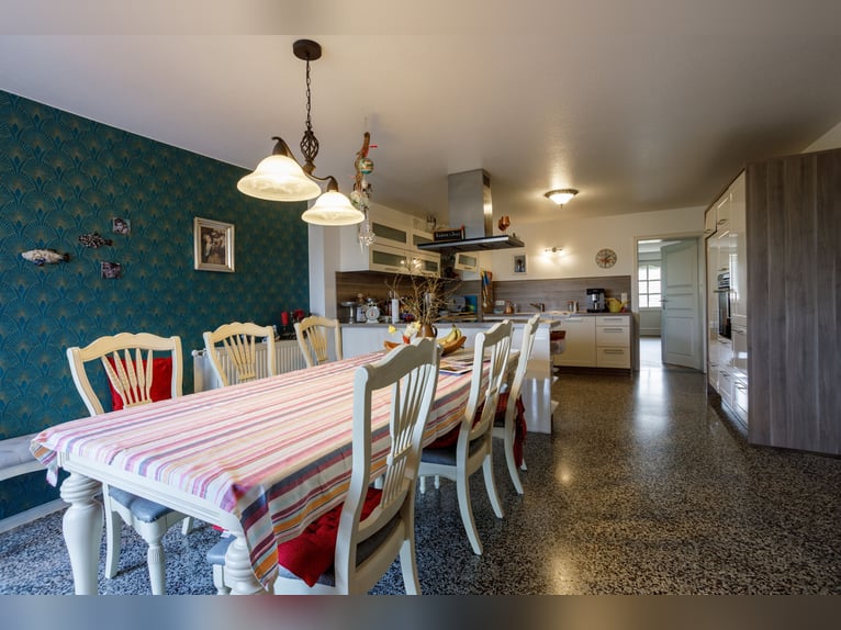 Propriété spacieuse avec installation équestre, appartement de vacances, terrains constructibles et 