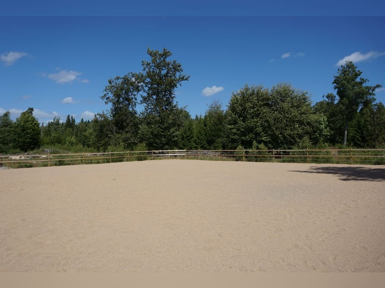 Propriété unique dans le Blekinge / Sud de la Suède