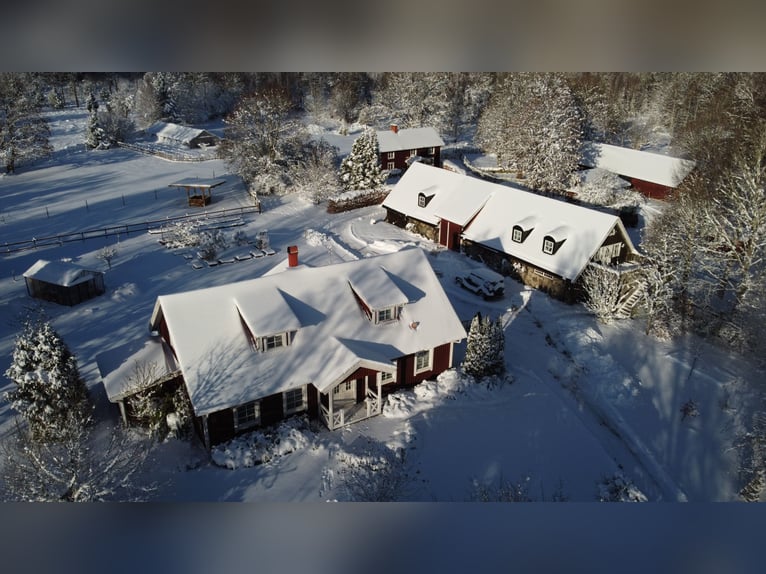 Propriété unique dans le Blekinge / Sud de la Suède