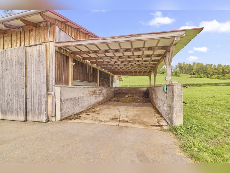 Reitanlage im Allgäu in malerischer Natur- Leben zwischen Bergen und Wäldern!