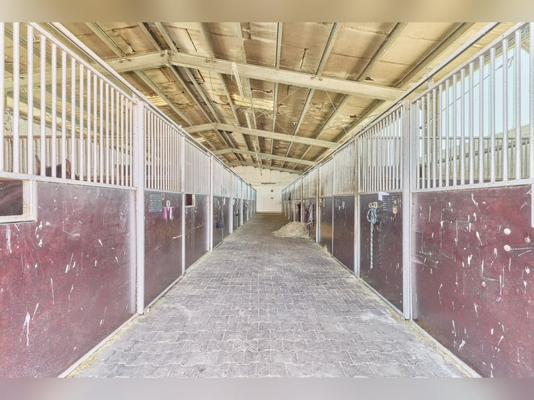 Reitanlage im Rhein-Main-Gebiet in Egelsbach mit mehr als 20 Hektar Fläche!