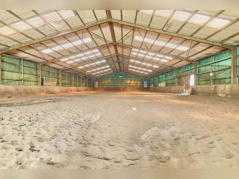 Reitanlage im Rhein-Main-Gebiet in Egelsbach mit mehr als 20 Hektar Fläche!
