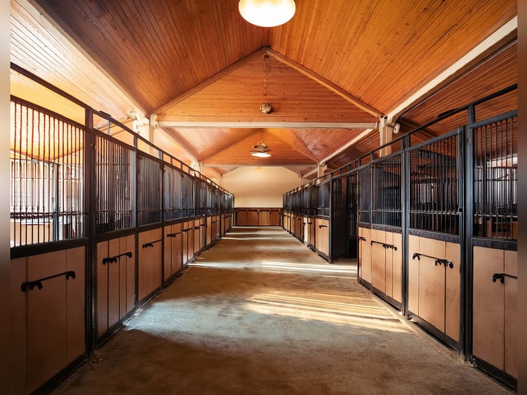 Reitanlage in Alleinlage – Wohnen und Reiten im Einklang mit der Natur NRW