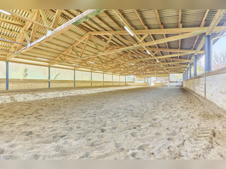 Reitanlage in Baden-Württemberg zu verkaufen – Malerische Alleinlage in der Nähe von Göppingen!