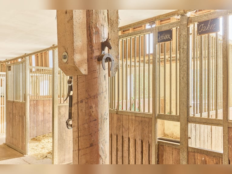 Reitanlage in Baden-Württemberg zu verkaufen – Malerische Alleinlage in der Nähe von Göppingen!