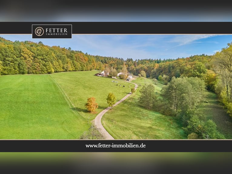 Reitanlage in Baden-Württemberg zu verkaufen – Malerische Alleinlage in der Nähe von Göppingen!