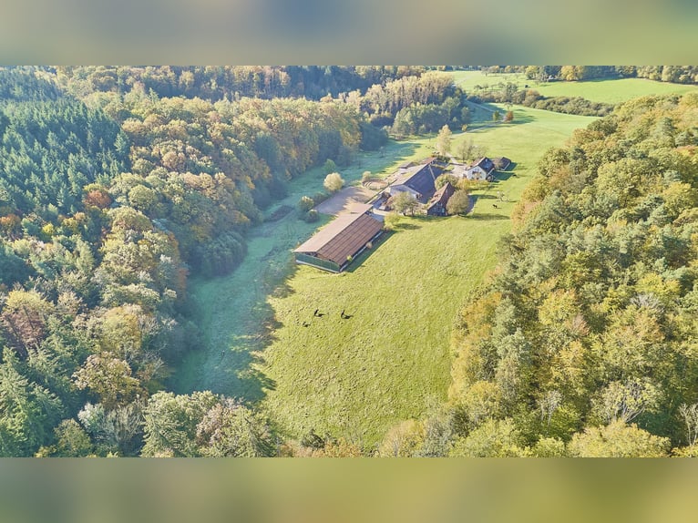 Reitanlage in Baden-Württemberg zu verkaufen – Malerische Alleinlage in der Nähe von Göppingen!