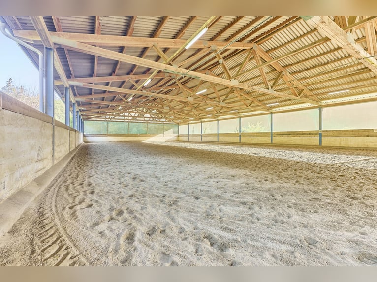 Reitanlage in Baden-Württemberg zu verkaufen – Malerische Alleinlage in der Nähe von Göppingen!