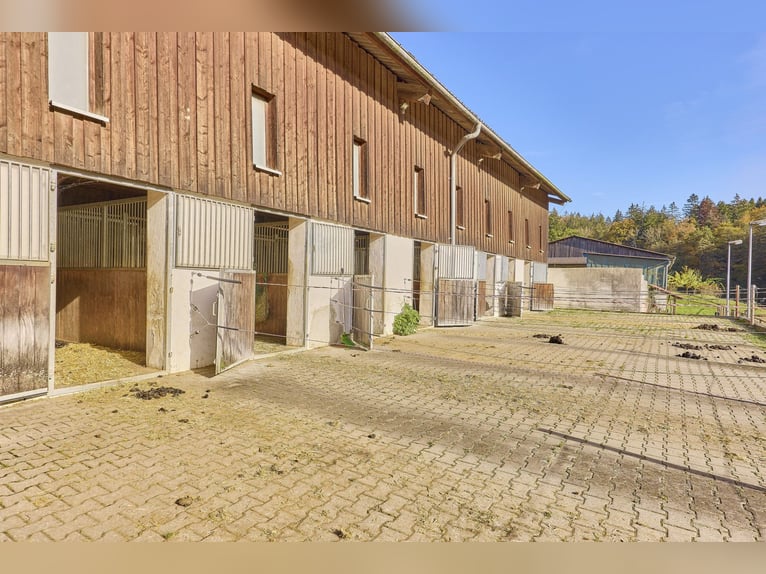 Reitanlage in Baden-Württemberg zu verkaufen – Malerische Alleinlage in der Nähe von Göppingen!