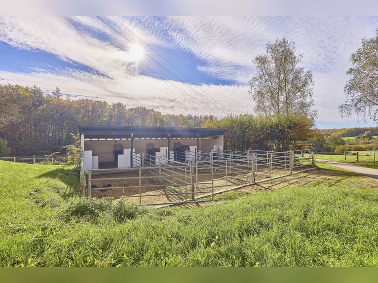Reitanlage in Baden-Württemberg zu verkaufen – Malerische Alleinlage in der Nähe von Göppingen!
