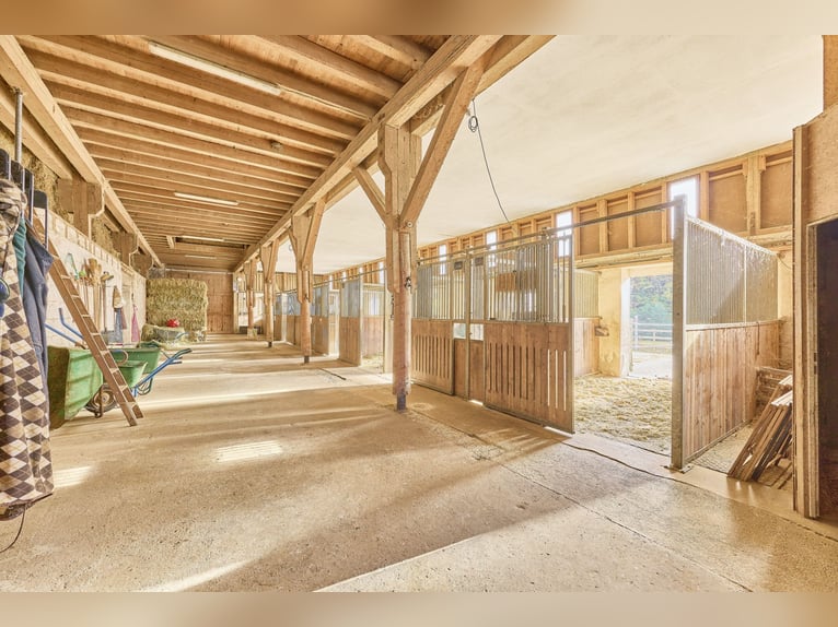 Reitanlage in Baden-Württemberg zu verkaufen – Malerische Alleinlage in der Nähe von Göppingen!