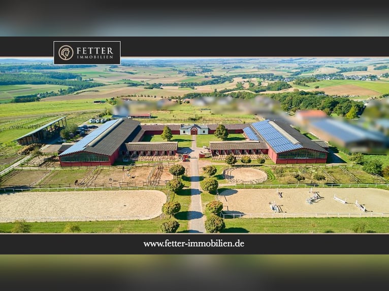 Reitanlage in Lonnig zu verkaufen – in Mitten des Sonderbaugebietes “Wohnen mit Pferden”