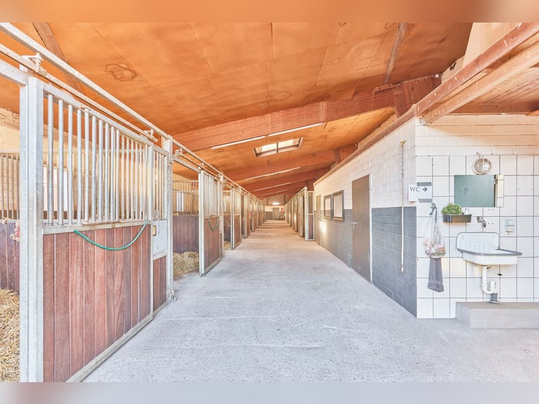 Reitanlage in Niedersachsen (Landkreis Uelzen) mit Wohn- und Gästehaus zu verkaufen!