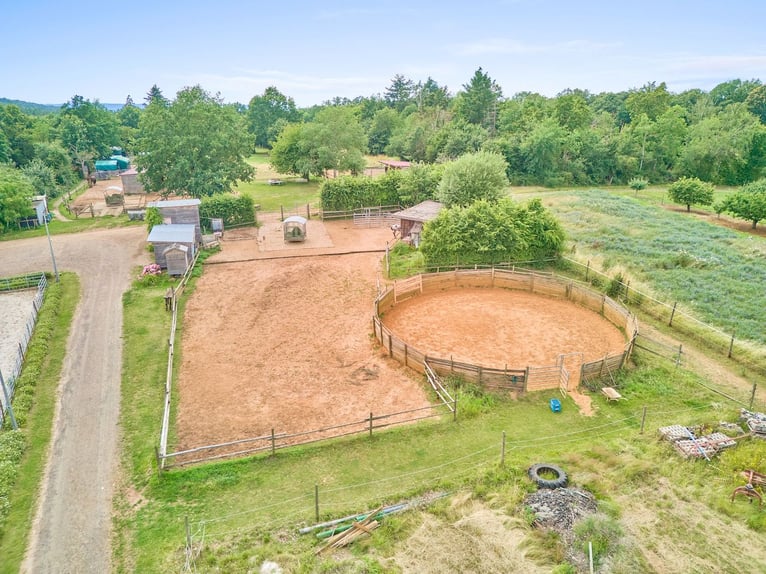 Reitanlage mit Panoramablick in Battenberg (Pfalz) – Einmalige Alleinlage !