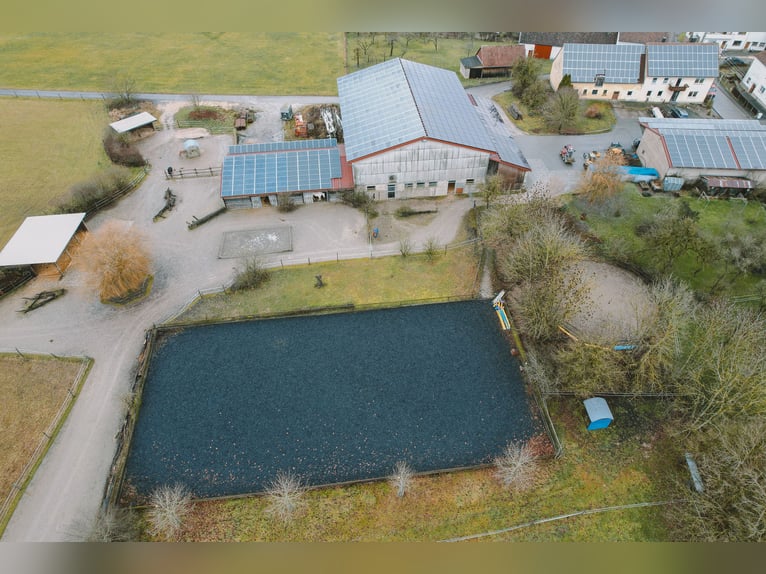 Reitanlage mit Wohnhaus, arrondierten Flächen und moderner PV-Anlage