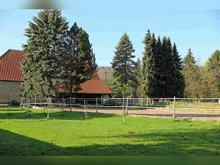 Reiterhof mit großzügigem Wohnhaus im Weserbergland