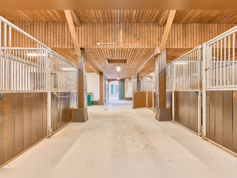Repräsentatives Anwesen mit schickem Landhaus und privater Reitanlage in der Südwestpfalz!