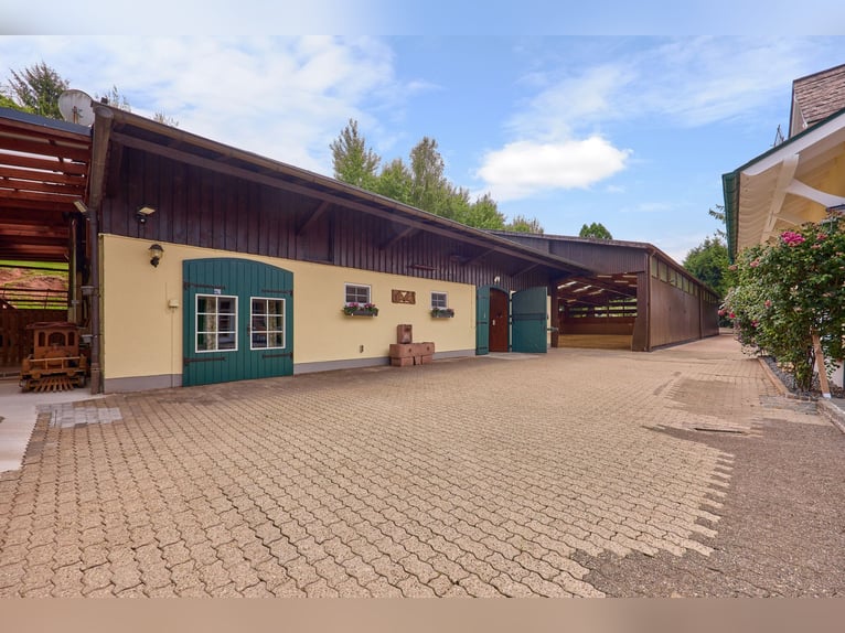 Repräsentatives Anwesen mit schickem Landhaus und privater Reitanlage in der Südwestpfalz!