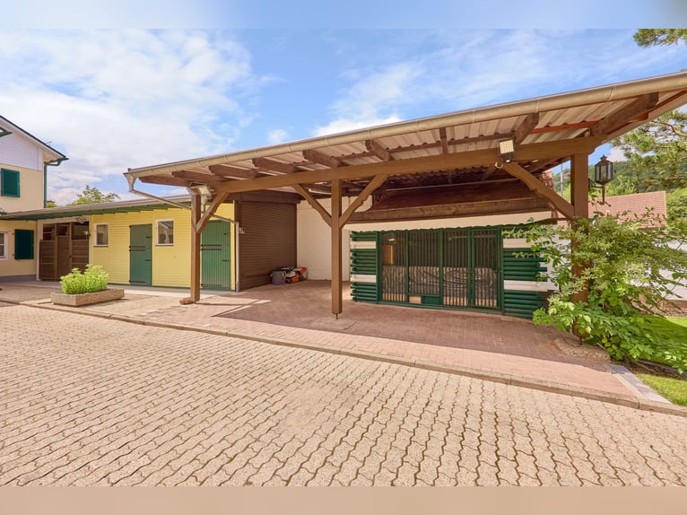Repräsentatives Anwesen mit schickem Landhaus und privater Reitanlage in der Südwestpfalz!