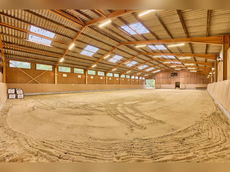 Repräsentatives Anwesen mit schickem Landhaus und privater Reitanlage in der Südwestpfalz!