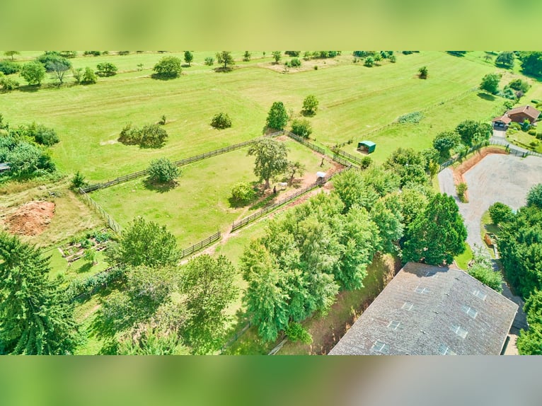 Repräsentatives Anwesen mit schickem Landhaus und privater Reitanlage in der Südwestpfalz!