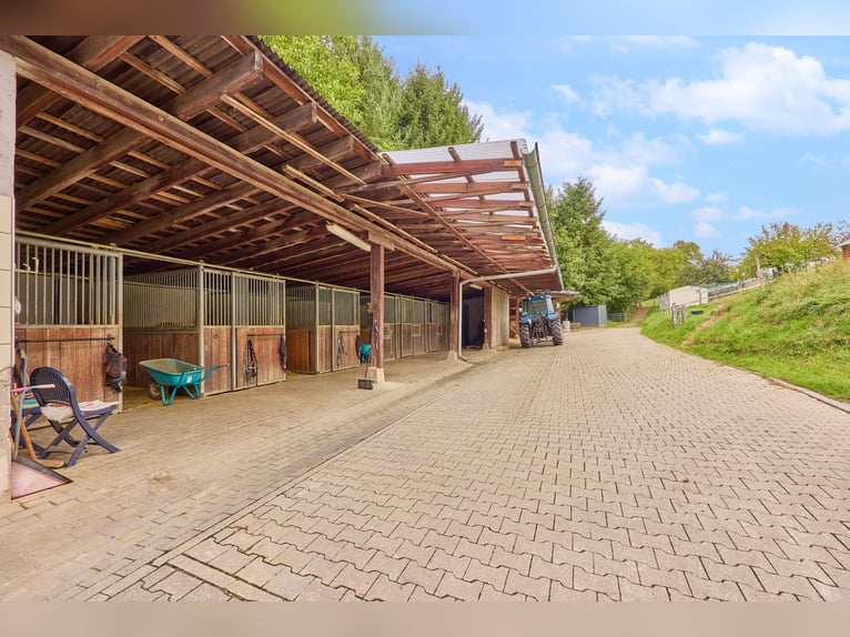 *reserviert* Pferdeimmobilie in Hessen – charmantes Fachwerkensemble mit Reithalle in Groß-Bieberau!