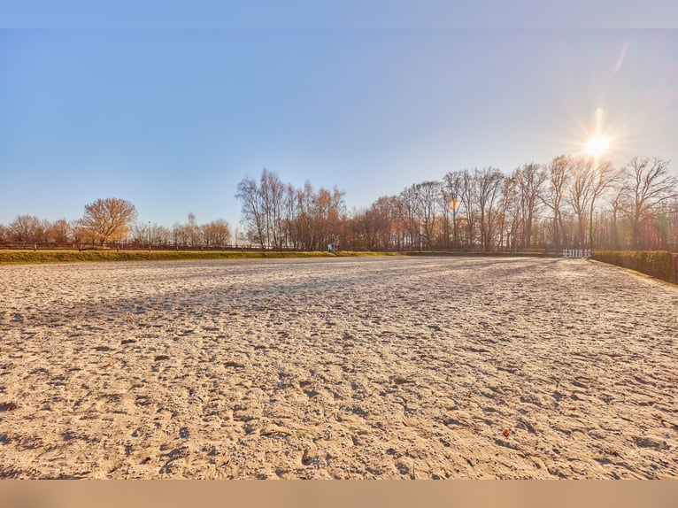 *RESERVIERT* Reitanlage in Niedersachsen (Landkreis Uelzen) mit Wohn- und Gästehaus zu verkaufen!