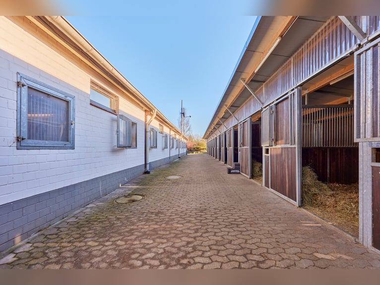 *RESERVIERT* Reitanlage in Niedersachsen (Landkreis Uelzen) mit Wohn- und Gästehaus zu verkaufen!