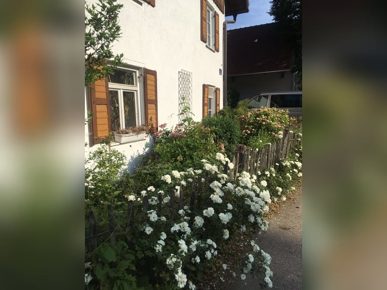 Rêve immobilier pour les amoureux des chevaux — Appartement en copropriété situé directement sur le 