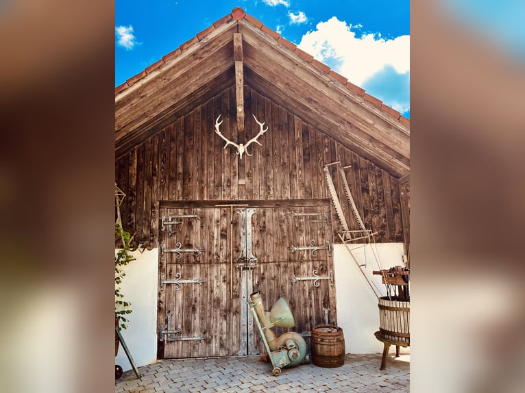 Situé dans un endroit parfaitement calme, avec une conception solide – une ambiance de ferme traditi