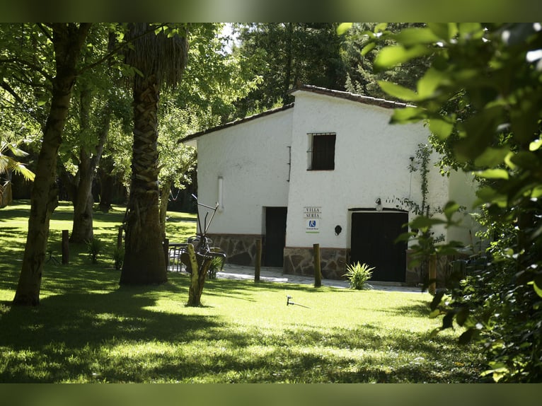 SOUTH OF SPAIN. HORSEFARM AND RURAL HOUSE 