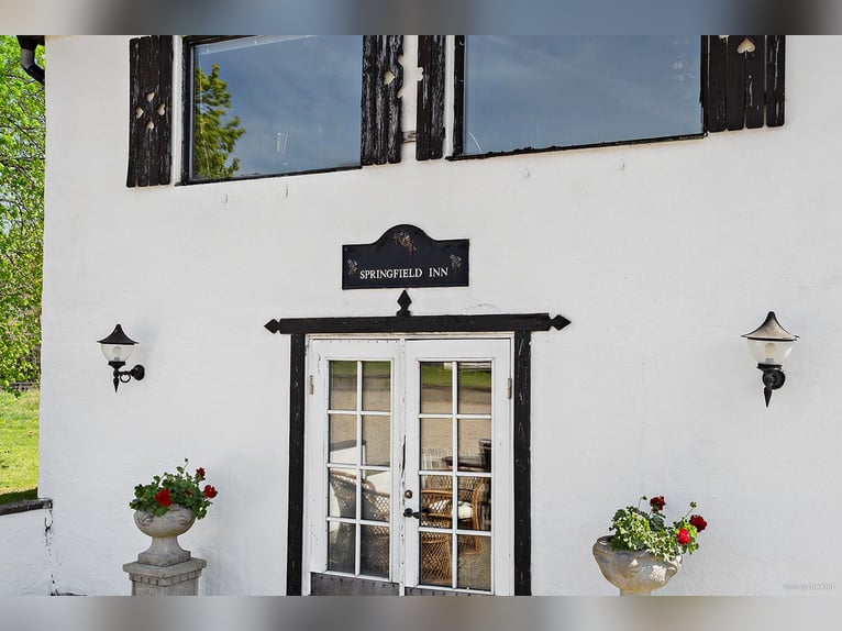 Springfield Farm – Propriété exclusive avec potentiel international, 8 ha