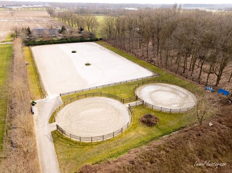 Stoeterij 'De Roshoeve' op ca. 2,4 ha te Geel