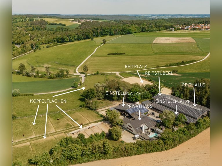 THE RANCH – Un centre équestre d'exception