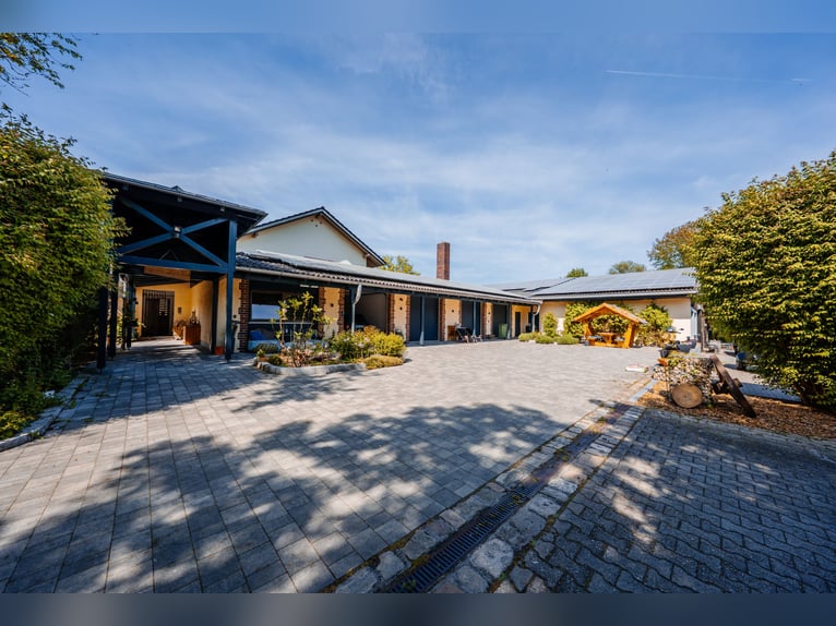 THE RANCH – Un centre équestre d'exception