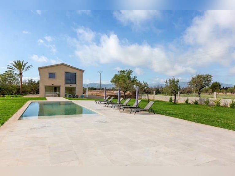 Tradition trifft Moderne – Ein mallorquinisches Landgut im zeitlosen Glanz