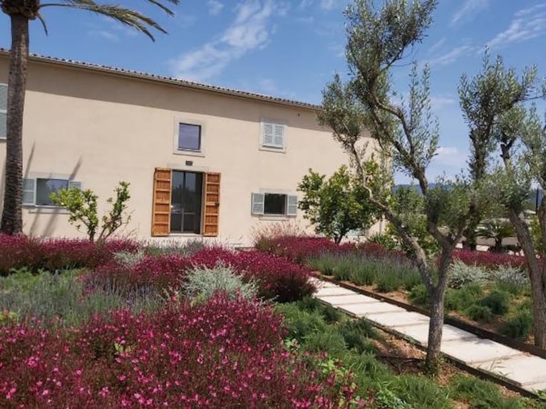 Tradition trifft Moderne – Ein mallorquinisches Landgut im zeitlosen Glanz