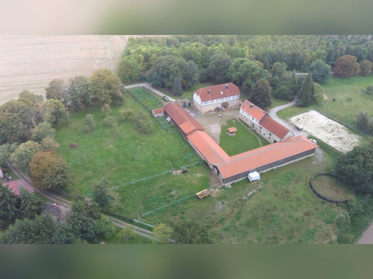 Traumhaft schöner Landsitz mit eigenem Wald, Reiterhof u.v.m. in ruhiger Lage mit guter Anbindung