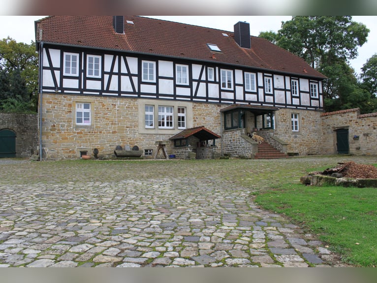 Traumhaft schöner Landsitz mit eigenem Wald, Reiterhof u.v.m. in ruhiger Lage mit guter Anbindung